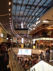 shopping